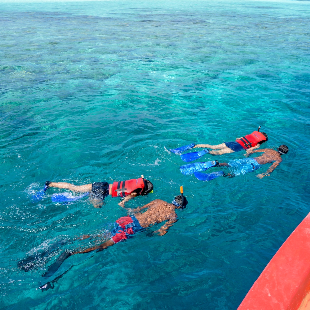 SNORKELLING LESSON