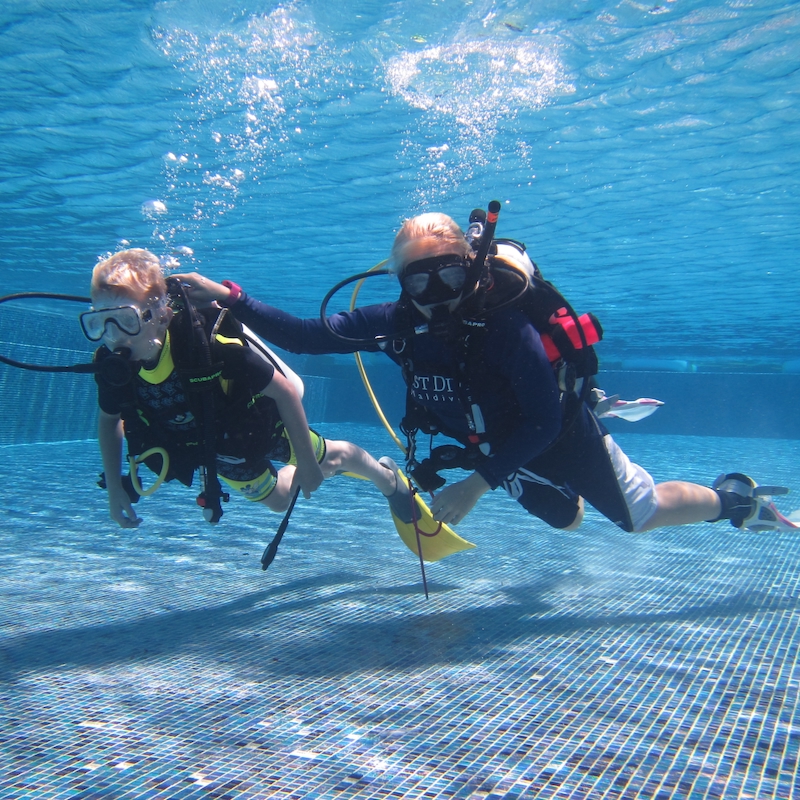 EXPERIENCE LEVEL FOR NON-DIVERS