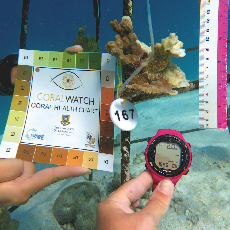 Coral Ranger Program