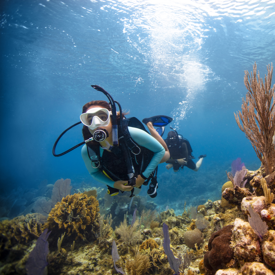 Diving