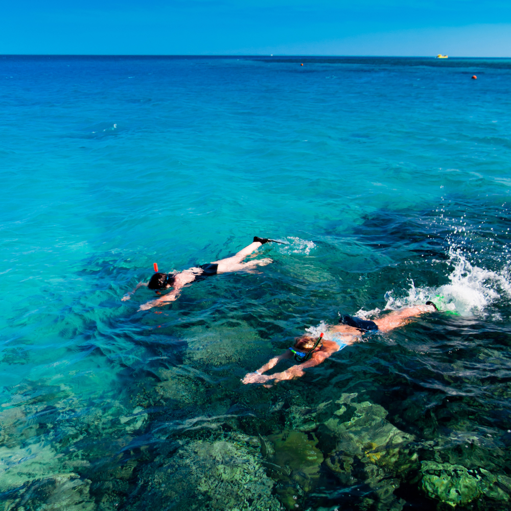 SNORKELLING TRIPS