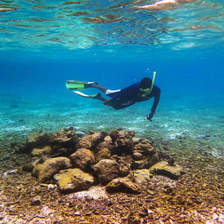 Coral Ranger Program